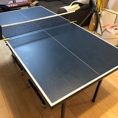 イグニオ(IGNIO) 卓球台 コンパクトサイズ 卓球台 IG-...