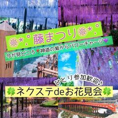 4 /30(日)【名古屋〜津島】藤の天王川公園とキッチンカー&屋台de藤まつりを満喫♪【ネクステdeお花見会】の画像