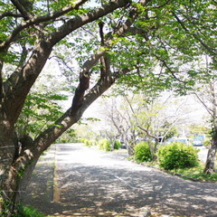 【入居者募集】障がい者グループホーム 18,000～ お引っ越し無料　千葉県南房総市　 - 南房総市