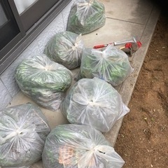 お庭の草刈り、草抜き！剪定、伐採全部できます - 地元のお店