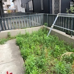 お庭の草刈り、草抜き！剪定、伐採全部できます - 便利屋