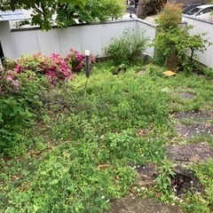 お庭の草刈り、草抜き！剪定、伐採全部できます