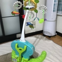 メリーの画像