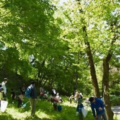 【無料】虫さがしの画像