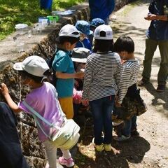 【無料】虫さがし - 仙台市