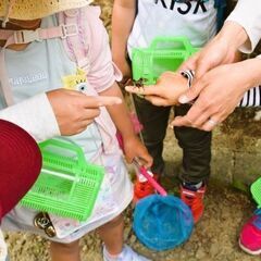 【無料】虫さがし − 宮城県
