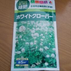 タキイ　ホワイトクローバー　種　60ml　グランドカバー　芝生の...