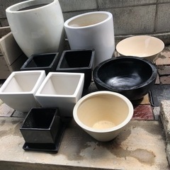 植木鉢　鉢　水盤