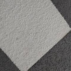 【受付終了】ニトリ　タイルカーペット　30✕30 43枚の画像