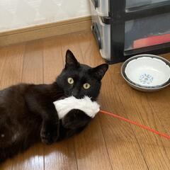 交通事故より生還した男の子！