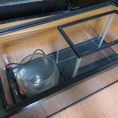 金魚水槽