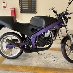 NS-1 カラー変更