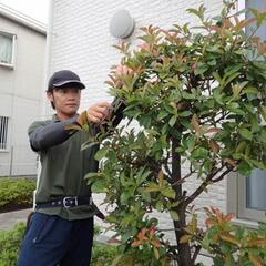 造園業 正社員、アルバイト急募！未経験でも大丈夫です！ の画像