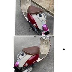 YAMAHA・4サイクル・ビーノ・SA26J の画像