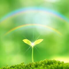 風水&ホリスティックヒーリング養成講座　３日間【１０％ＯＦＦ】の画像