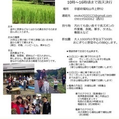 無農薬の田んぼで田植え体験