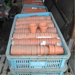 朱温鉢　素焼き　2.5号　大量　個数対応　1個80円　30個以上から