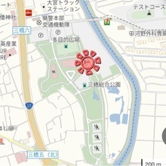 青空ヨガの画像