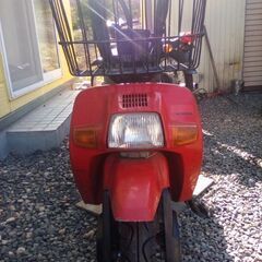 　ホンダスカッシュ12ボルトセル付き