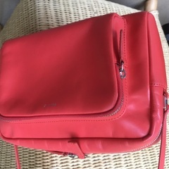 Agni’s bのバックの画像