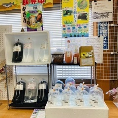 物産館【めだか】