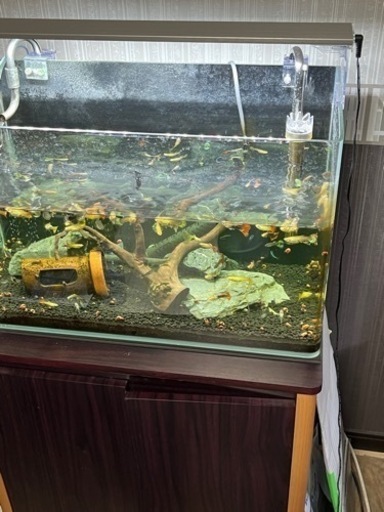 お話し中　水槽２セット