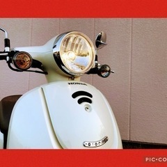 🛵【神奈川発】【コスパ良し】【低価格】【学割/女子割】 ★美車、...