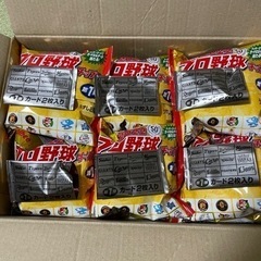 プロ野球チップス2022 ポテチのみ 48袋