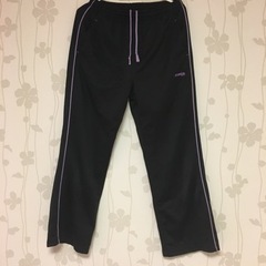  Kaepa ジャージ　Lサイズ レディース　1000→500円に値引きしましたの画像