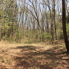 【商談中】【土地】北杜市白州町大坊　662平米(200坪)　森に...
