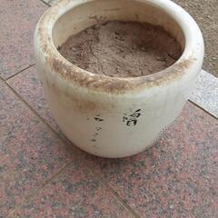 No.3　火鉢　作者不明　陶器　メダカ　飼育の画像