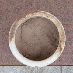 No.3　火鉢　作者不明　陶器　メダカ　飼育の画像