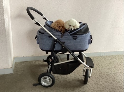 エアバギー　Dome2 Mサイズ