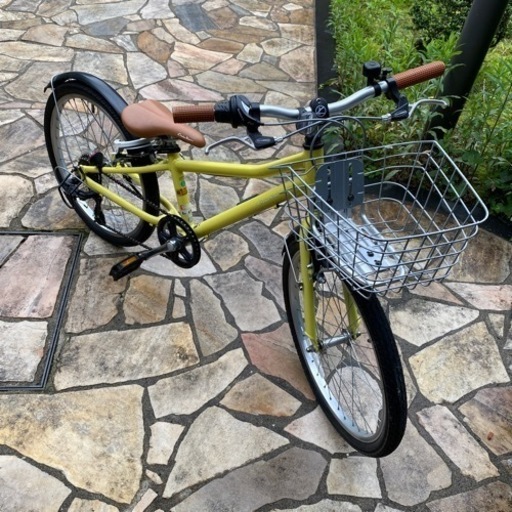 コーダーブルーム　アッソン　22インチ