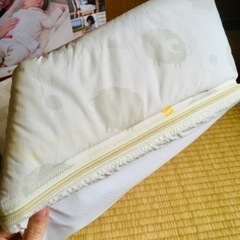 ジャンク品　ファルスカ ベッドインベッド フレックスの画像