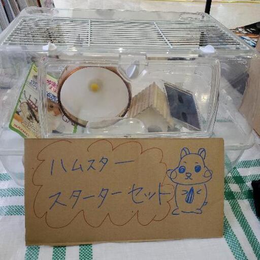 ハムスタースターターセット