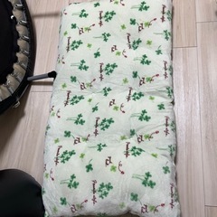 ふかふかごろ寝クッション