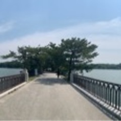 ウォーキングをしよう❣️
