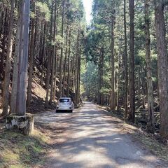 【成約済】山林物件088　兵庫県朝来市生野町 - 朝来市