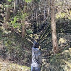 【成約済】山林物件088　兵庫県朝来市生野町 - 土地販売/土地売買