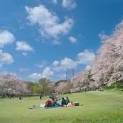 5/2（月）世田谷 砧公園でバドミントンしましょう！