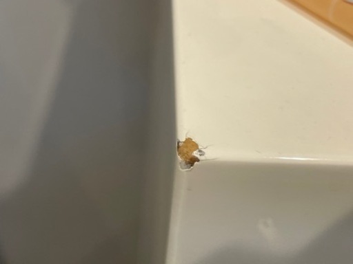 値下げしました。　ニトリ　食器棚　バーカウンター　