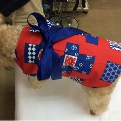 坂ノ市地区で編み物教室やってます(*^-^*)の画像