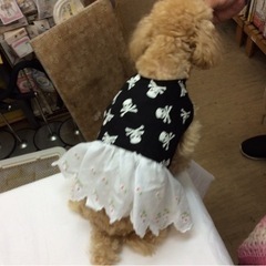 坂ノ市地区で編み物教室やってます(*^-^*)の画像