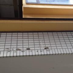 『昭和タイル壁』の塗装工事 - 豊中市