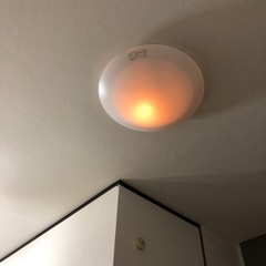 シーリングライト①の画像