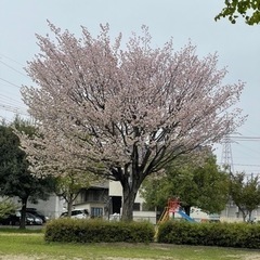 YouTube始めたいけどやり方が分からない