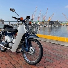 カブ仲間を募集しています！