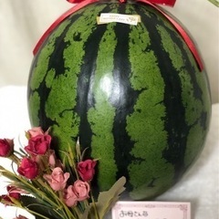 本日から母の日まで限定🌷母の日スイカ🍉
