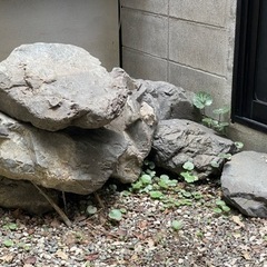 お庭をリフォームされたい方いかがですか。